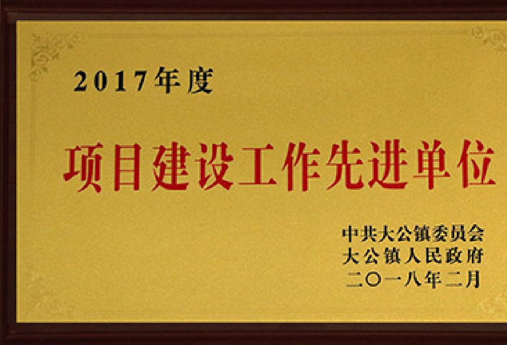 2017項(xiàng)目建設(shè)先進(jìn)單位