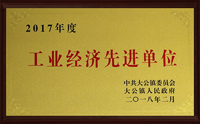 2017工業(yè)經(jīng)濟(jì)先進(jìn)單位.jpg